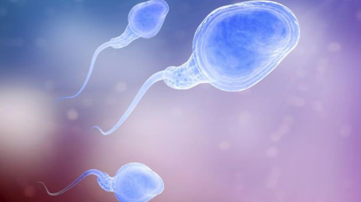 Fathers diet affects RNA of his sperm: study